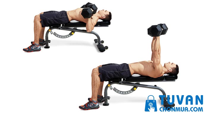 đẩy ngực với tạ tay đẩy ngực với tạ tay