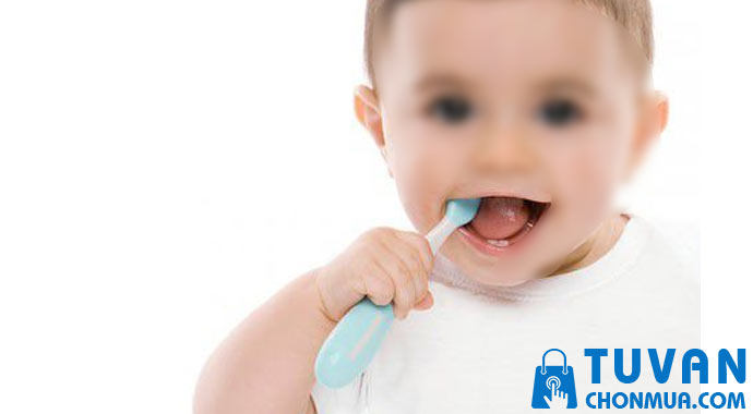 Hướng dẫn sử dụng bàn chải đánh răng cho bé