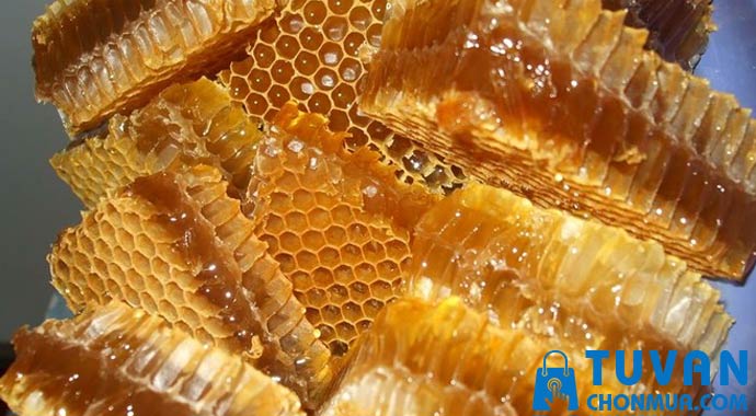 cách bảo quản mật ong nguyên sáp cách bảo quản mật ong nguyên sáp