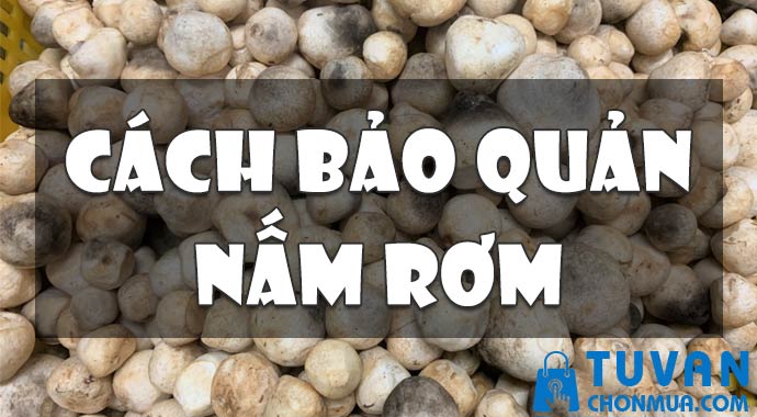 cách bảo quản nấm rơm cách bảo quản nấm rơm