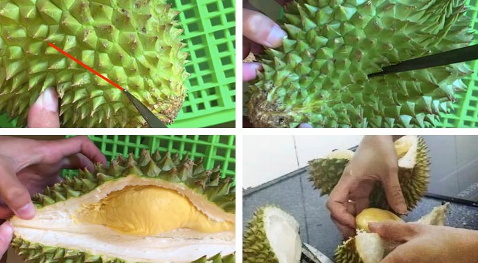 cách bổ sầu riêng chưa nứt bằng dao cách bổ sầu riêng chưa nứt bằng dao