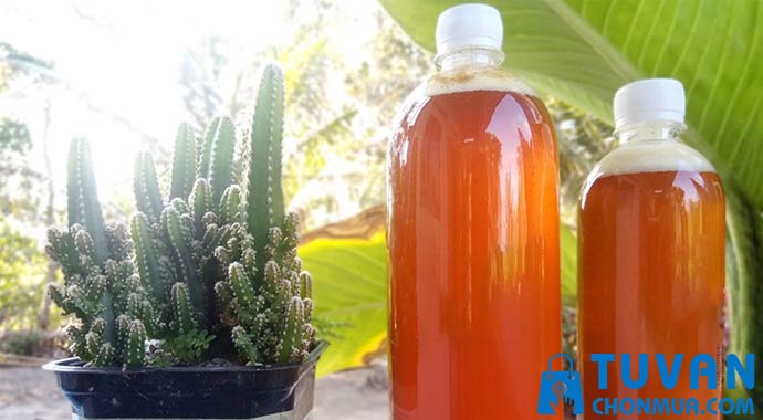 chai nhựa plastic đựng mật ong chai nhựa plastic đựng mật ong