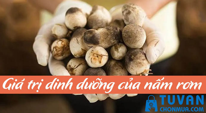 giá trị dinh dưỡng của nấm rơm giá trị dinh dưỡng của nấm rơm