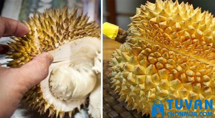 nhìn bề mặt vỏ trái sầu riêng nhìn bề mặt vỏ trái sầu riêng