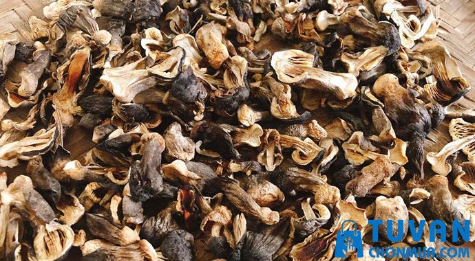 phơi khô sấy khô để bảo quản nấm rơm phơi khô sấy khô để bảo quản nấm rơm