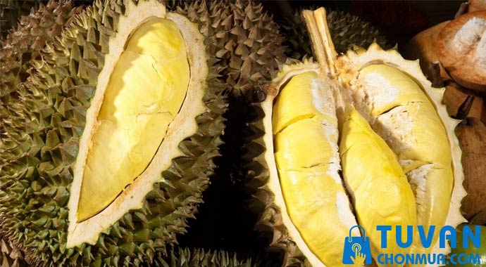 sầu riêng khổ qua sầu riêng khổ qua