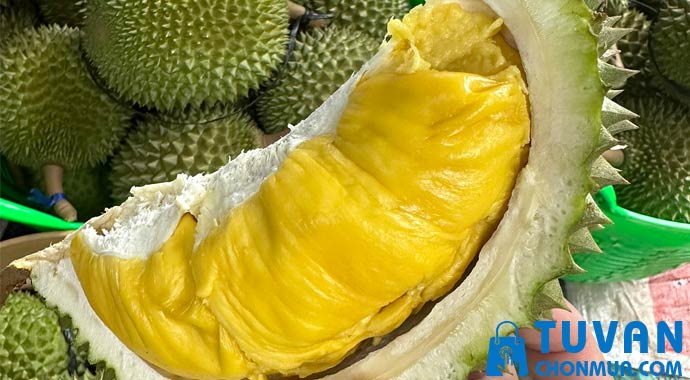 Sầu riêng Musang King Sầu riêng Musang King