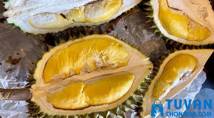 Sầu riêng RI6 Sầu riêng RI6