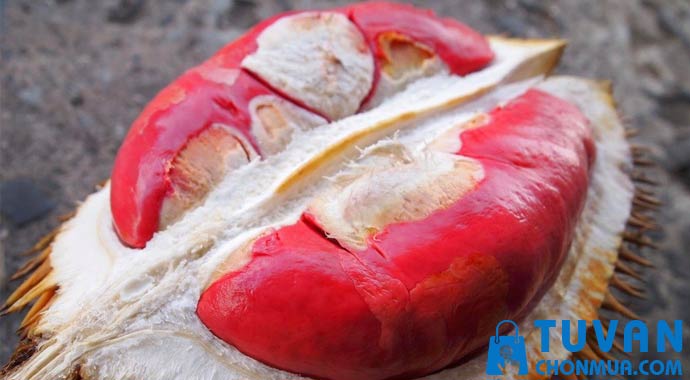 sầu riêng ruột đỏ sầu riêng ruột đỏ