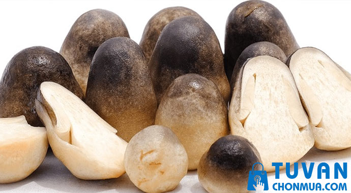 tác dụng của nấm rơm tác dụng của nấm rơm