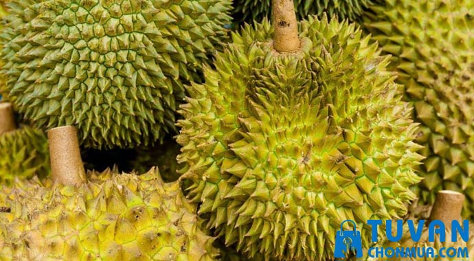 Vỏ màu xanh rêu hoặc xanh ửng vàng Vỏ màu xanh rêu hoặc xanh ửng vàng